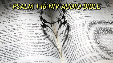 PSALM 146 NIV AUDIO BIBLE (with text)