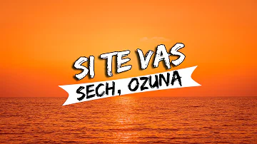 Sech, Ozuna - Si Te Vas (Letra/Lyrics)