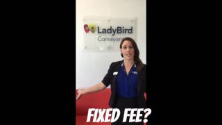 Fixed Fee?