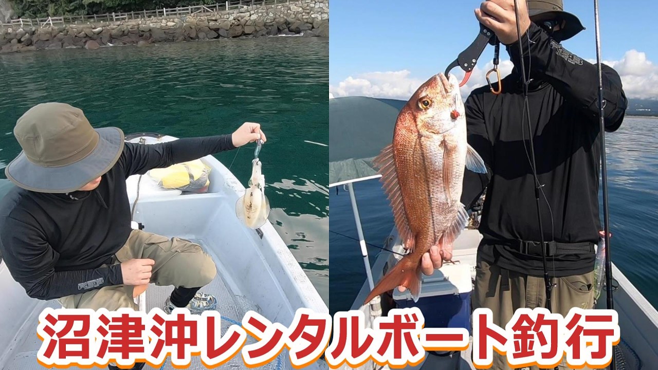 ＃115　沼津沖で良型マダイ・白アマダイ釣れました！