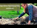 Borbás Marcsi: Kertem - Batátatermesztés házilag (57. rész)