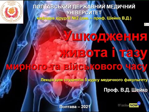 Лекция для студентов 5 курса мед.факультета. Повреждения живота и таза. проф. В.Д.Шейко