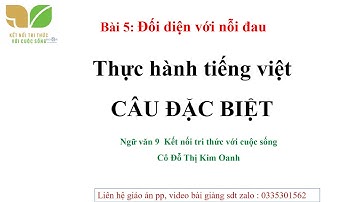 Bài giảng Câu đặc biệt Ngữ văn 9- Kết nối- Cô Kim Oanh