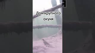 Где искать крупного окуня