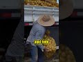 FÁBIO GIGA SE EMOCIONA AO FALAR DO TRABALHO DO LEANDRO VELOSTER E A IMPORTÂNCIA DOS CARREGADORES