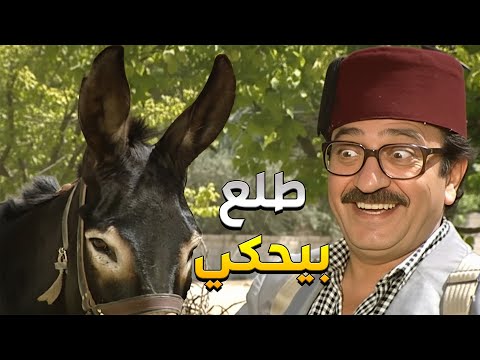 غوار اشترى حمار ليشغّلو… صار يعلّمو