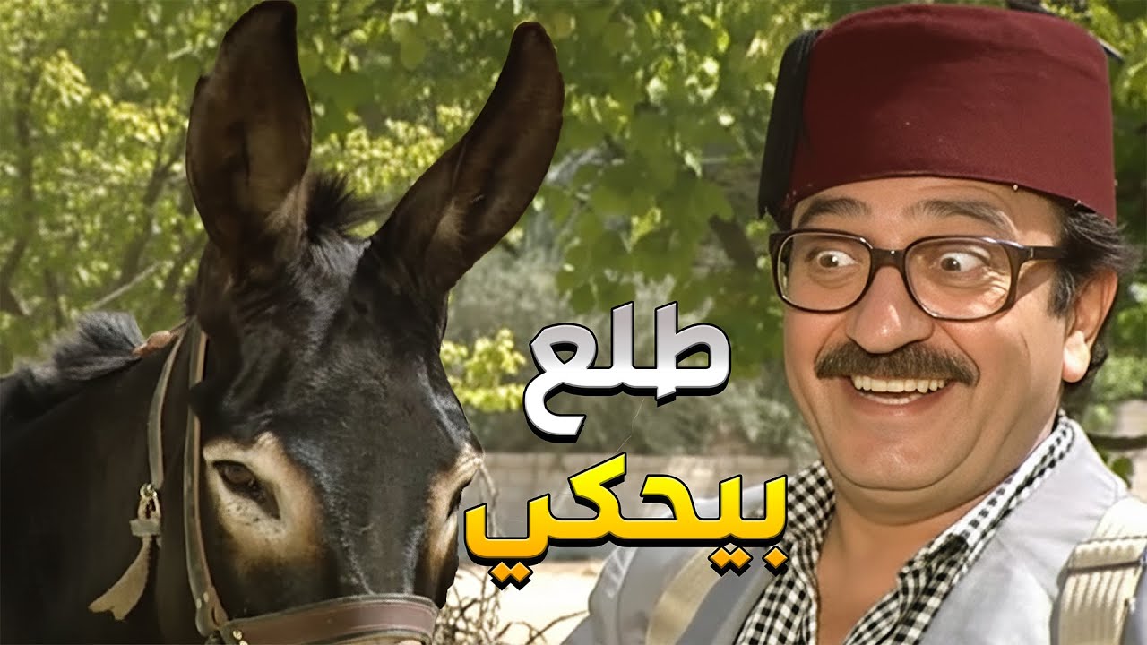 غوار اشترى حمار ليشغّلو… صار يعلّمو