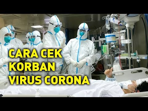 cara-cek-update-jumlah-korban-virus-corona-di-seluruh-dunia