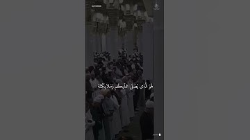 مقتطف من تلاوة الشيخ #صلاح_البديرمن عشاء 18 شوال 1446هـ