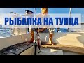 Рыбалка на тунца #69