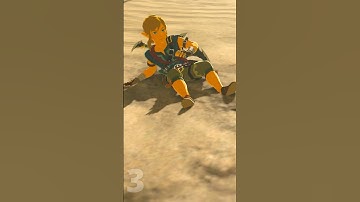 6 Things EVERY BotW Player has done! (1)