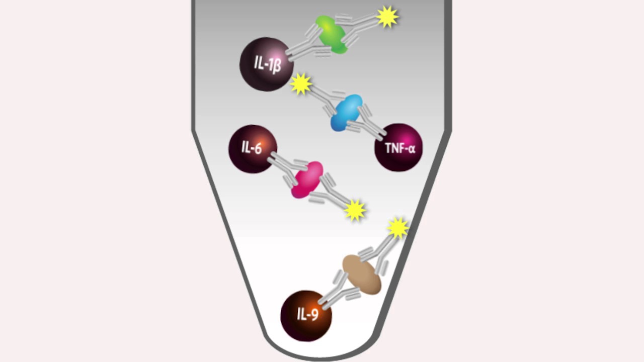 Luminex xMAP® Technology YouTube