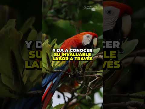 Ecos de la Naturaleza el Podcast Ecos de la Naturaleza el Podcast