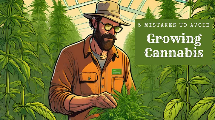 5 Mistakes To Avoid When Growing Cannabis Plants. An educational video.