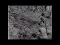 Filmaufnahmen der US-Army: Kriegsende im Diemel- und Wesertal