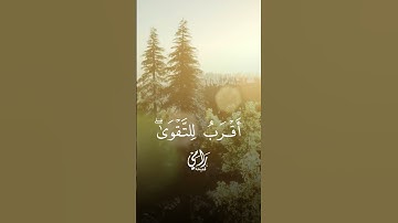 الآية ٨ سورة المائدة ✨ #اكسبلور #جديدي #حالات_واتس #explore #تيك_توك #trending #لايك #duet