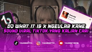 DJ WHAT IT IS X NGEULAR KANE SOUND VIRAL TIKTOK 2024 YANG KALIAN CARI!!!