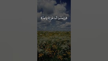 ليجزى الله كل نفس ماكتبت|سوره ابراهيم|٥١-٥٢|تكمله٤|القارئ شريف مصطفى