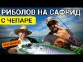 РИБОЛОВ на САФРИД с чепаре в Черно море | Black sea horse mackerel FISHING