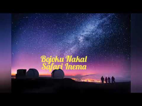 Lirik Lagu Safira Inema - Bojoku Nakal (Official Music Video ANEKA SAFARI)