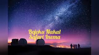 Lirik Lagu Safira Inema - Bojoku Nakal (ANEKA SAFARI)