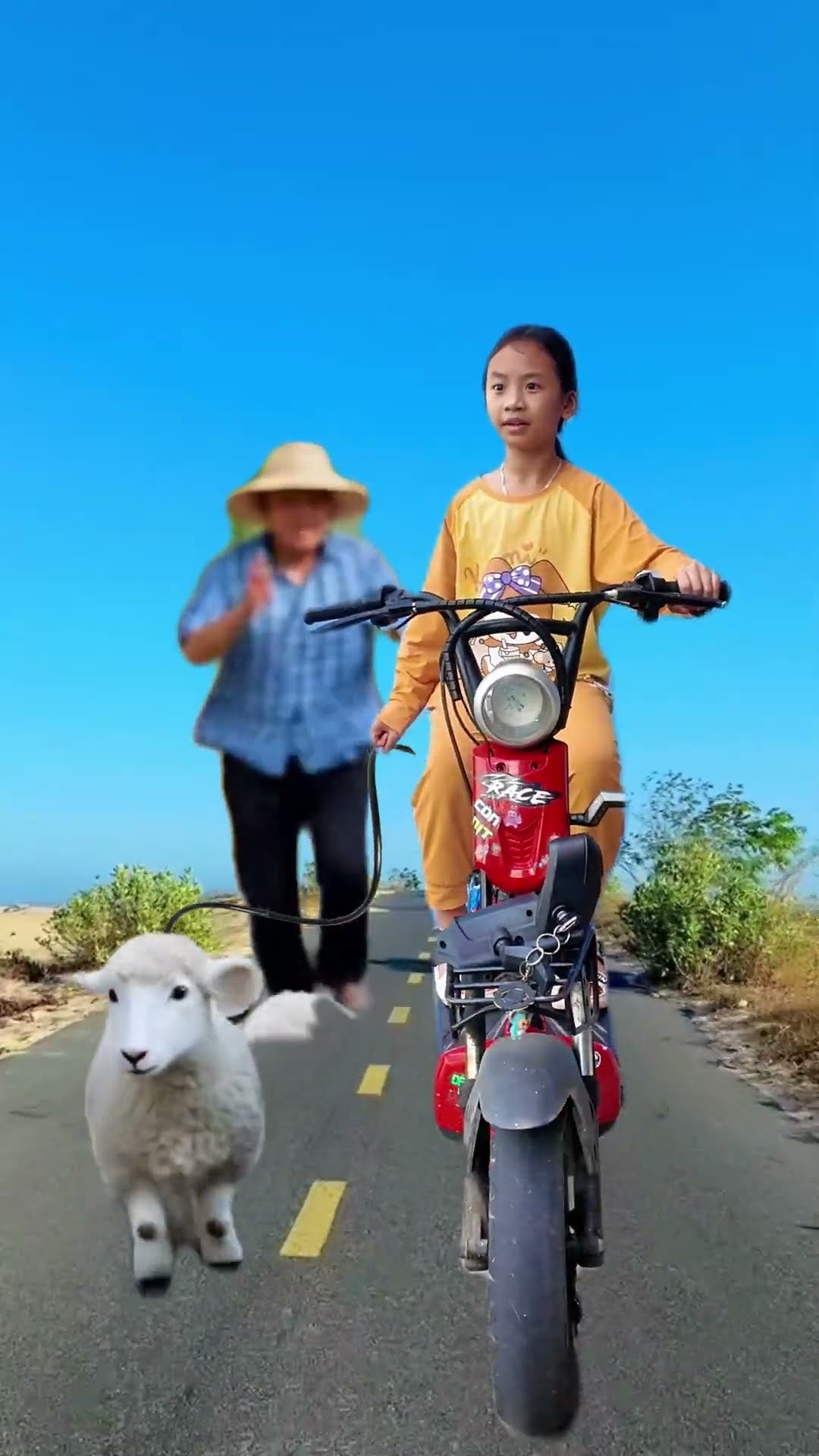 ACC - Hôm Nay Tôi Ăn Thịt Cừu || Today I Eat Lamb. #funny #troll #trending