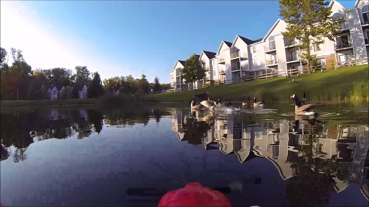 Parkzone Sport Cub S2 3rd Flight With GoPro Attached on Floats YouTube