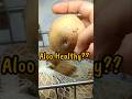Nutrition Ep:  Aloo is a SUPERFOOD?? #shortsfeed