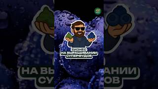Секреты успешного бизнеса на ягодах и водорослях!