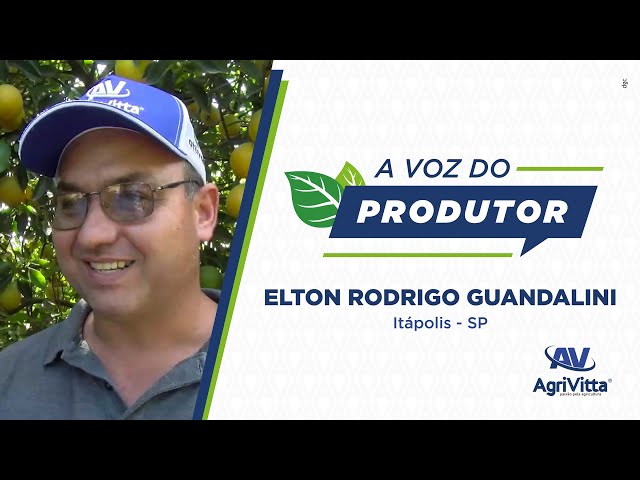 A voz do produtor com Elton Guandalini | AgriVitta