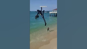 Rampart challenges nearly done #apexlegends #apex #apexlegendsclips #apexclips #gaming #funny