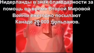 Ты Услышал Этот Факт:милые Лица