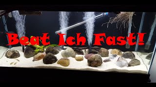 Quick Ich Treatment