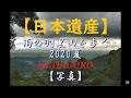 【 日本遺産 】雨の羽黒山を歩く、2020夏 【 写真 】 / Summer in 2020, walking through Mt. Haguro in the rain