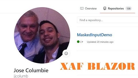 XAF Blazor   Masked Input