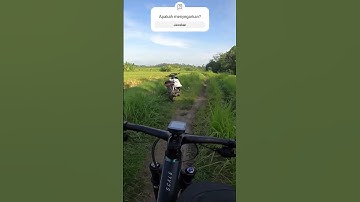 Udara dan Viewnya Segerrrr #udarasegar #udarabersih #sawah #view #blusukan #sepeda #sepedagunung