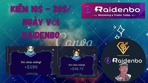 kiếm 10$ - 20$ mỗi ngày với raidenbo. hướng dẫn kiếm tiền cùng sàn