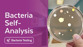 Bacteria Plate Self Analysis (Mold Check Up with Bacteria)