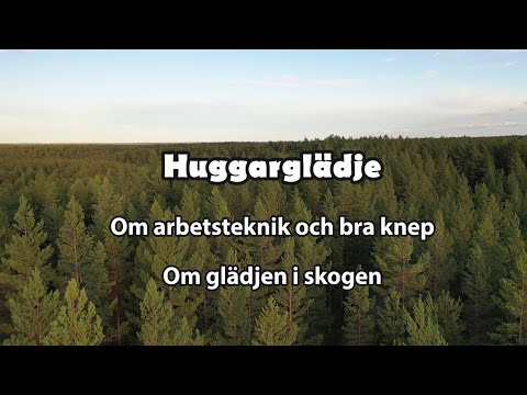 Video: Naturlig Fuktbräda: Hur Många Procent, Vad är Densiteten Av Tall Och Annat Sågat Virke? Hur Länge Torkar Det Inomhus Och Utomhus?