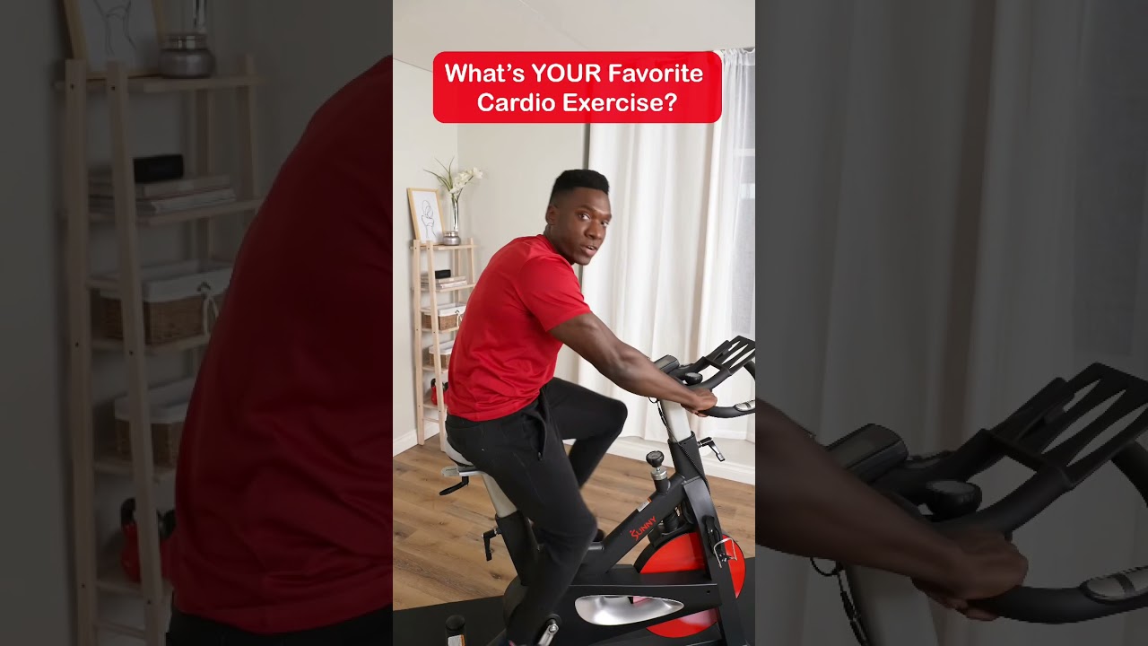 Sunny Health & Fitness Indoor Cycling Exercise Bike Workout