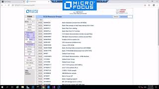 application modernization by creating cics web services in micro focus enterprise suite