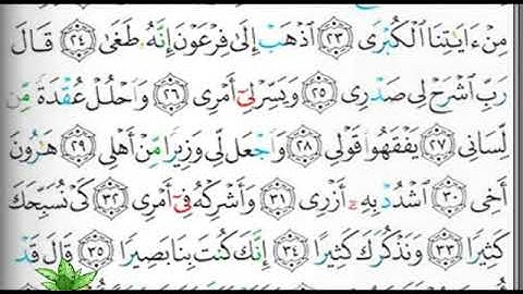 مصحف التجويد صفحة 313 إبراهيم الأخضر 🕋🕋