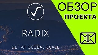RADIX | Обзор / Разбор проекта RADIX | КриптоМыло screenshot 5