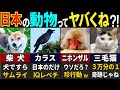 【世界驚愕 !】78億人がドハマリした！日本だけに住む固有の動物８選【ゆっくり解説】
