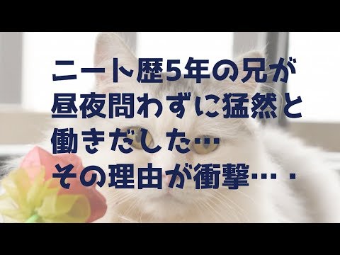 《衝撃》ニート歴5年の兄が、ある日から昼夜を問わずに猛然と働きだした。その理由が衝撃・・・