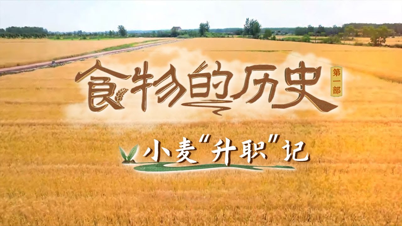 小麦是如何从异域物种演变为民生根基的？千百年来经历了怎样的历史变迁？《百家讲坛》食物的历史（第一部） 2 小麦“升职”记  20250426丨CCTV百家讲坛官方频道