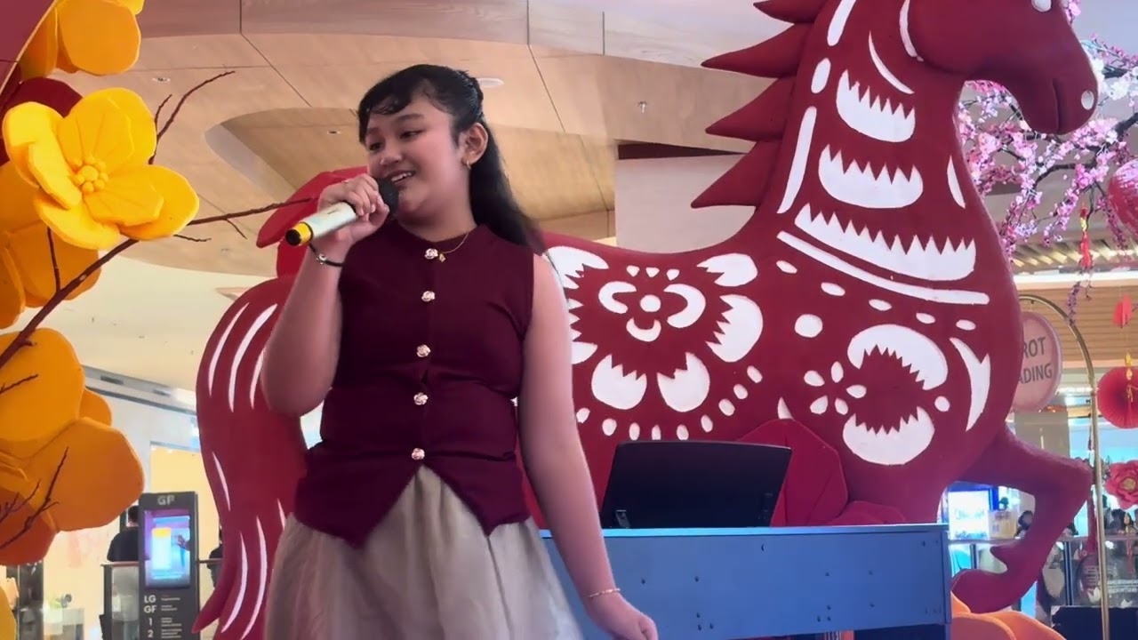 Happy Chinese new year(DPMELl)