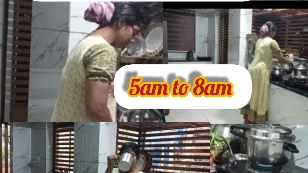 എൻ്റെ രാവിലത്തെ കുറച്ച് തിരക്കുകൾ mini vlog 