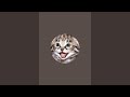 My Talking Cat Gameplay is live!