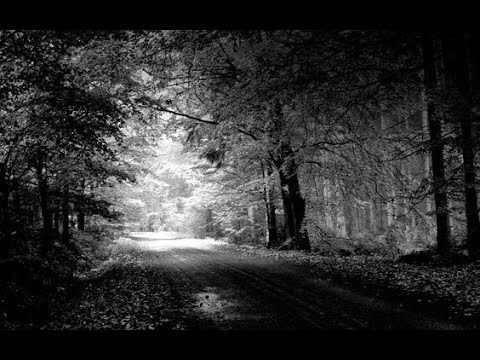 Francis Lai Grand Symphonix Orchestra Hello Goodbye Remastered